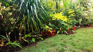 Taking beautiful landscape to the Next Level using potted plants in Rural area [upl. by Akemej356]