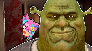 SHREK MI ODIA [upl. by Nnaeilsel227]