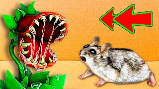 🐹 ESCAPE the Hamster Maze of DOOM😱 [upl. by Nedrud]