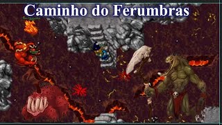 New Feru WayCaminho do Ferumbras 32kk profith  Tibia Global [upl. by Mikaela977]