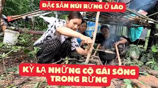 KHÁM PHÁ KHU RỪNG CÓ RẤT NHIỀU ĐẶC SẢN LOẠI ĐẶC BIỆT QUÝ HIẾM Ở LÀO [upl. by Rrats]