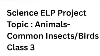 Science ELP Project Topic  Animals Common InsectsBirds  Class 3 [upl. by Thatcher]