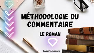 Comment faire le commentaire dun extrait de roman [upl. by Eelyah485]