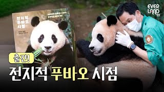 ENG북트레일러 송바오가 전하는 뚠빵한 하루 『전지적 푸바오 시점』│에버랜드 Panda Fubao [upl. by Anastassia]