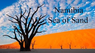 Travel Documentary Namibia  Namib desert Fish River Canyon African Safari by land and drone [upl. by Eves]