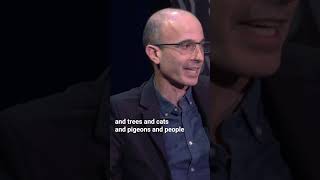 YuvalNoahHarari Why we go to war  IanBremmer [upl. by Nosnej]