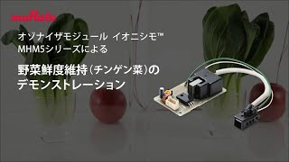 オゾナイザモジュール イオニシモ™MHM5シリーズによる野菜鮮度維持（チンゲン菜）のデモンストレーション [upl. by Peppel732]