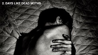 Suede  Days Like Dead Moths Official Audio [upl. by Eentruok]