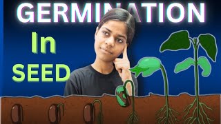 Germination in Seeds Class 10  Reproduction  Biology  MRAs [upl. by Nwahs256]