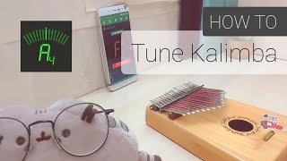 How to Tune Your Kalimba w DaTuner SUB INDO [upl. by Nojad]