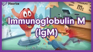 Immunoglobulin IgM or IgM USMLE Mnemonic Preview [upl. by Leno]