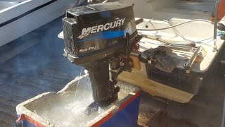 Revisão Mercury Sea Pro 25hp [upl. by Alakim]