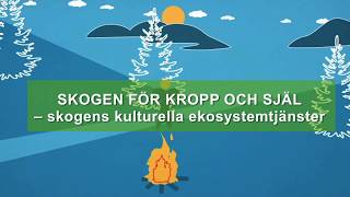 Skogens ekosystemtjänster Skogen för kropp och själ  Naturvårdsverket [upl. by Repsag717]