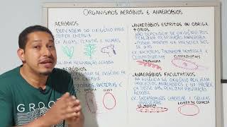 ORGANISMOS AERÓBIOS E ANAERÓBIOS [upl. by Saberio]