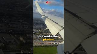 Why are Most Airplanes White facts flashinfo airplane why [upl. by Hanauq48]