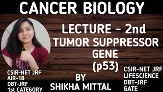 TUMOR SUPPRESSOR GENE  CANCER BIOLOGY CSIRNET JRF LIFESCIENCE [upl. by Peggy]