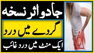 Kidney pain Treatment  Gurdy main dard ka fori Aur Gharelu ilaj By Hakeem Zia Shahid [upl. by Aneleve267]