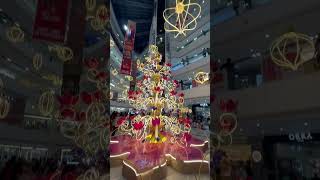 Christmas is near music christmas christmastree christmasdecor [upl. by Ennaeirb]