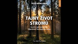 Audiokniha Tajný život stromů [upl. by Notrom]