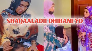 Shaqaaladii dhibaneyd Part 1 [upl. by Aidua]