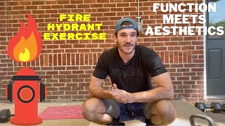 Fire Hydrant Exercise For An UNREAL Glute Pump And Low Back Health [upl. by Adrial]