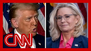 Liz Cheney blasted Trump at a Harris rally He responded on Fox News [upl. by Nah]