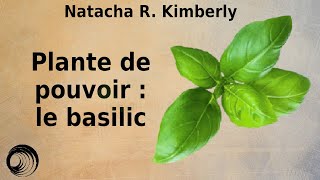 Le basilic une plante pour purifier votre aura [upl. by Rivi]