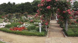 Planten un Blomen  Hamburg [upl. by Herold]