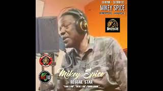 MIKEY SPICE REPRESENTS FOR RASTECH SOUND [upl. by Berstine]