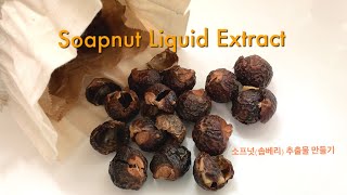 ⁠Soapnutsoapberry Liquid Extract  소프넛솝베리 무환자나무열매 추출물 만들기 [upl. by Htiekal554]