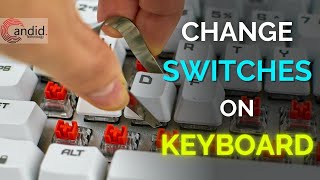 How to change Switches on a Keyboard  CandidTechnology [upl. by Telracs196]