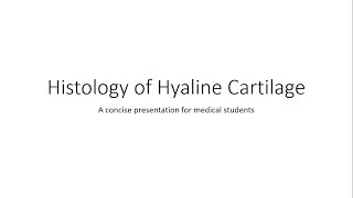 Hyaline Cartilage  Histology [upl. by Aioj927]