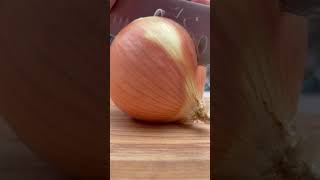 How to Quarter an Onion [upl. by Acirret]