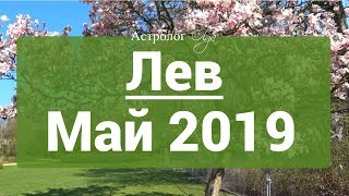 ЛЕВ Сатурн Ретро в 6 доме ГОРОСКОП на МАЙ 2019 астролог Olga [upl. by Hannavahs907]