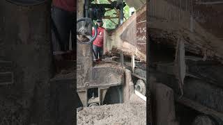 Balok trembesi Besar india brazil thailand sawmill [upl. by Auqined]