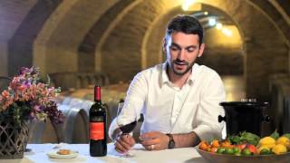 Wine Tasting Notes Khvanchkara  MICE TRAVEL CHANNEL  MICE NEWS  MICEmediaonlinebiz HD [upl. by Haman482]