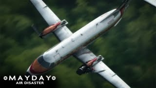 Miraculous Emergency Landing of Flight 529  Mayday Air Disaster [upl. by Naujd39]