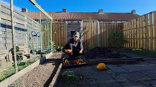 hoe doe je dat en waarom we graag een compostbak willen in onse moestuinen  moestuin oktober [upl. by Cirillo184]