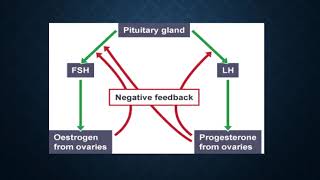 feedback mechanism [upl. by Cuhp706]