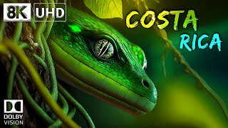 COSTA RICA 🇨🇷 8K Video Ultra HD 60FPS Dolby Vision  Costa Rica 8K HDR  8K TV [upl. by Aiuqet]