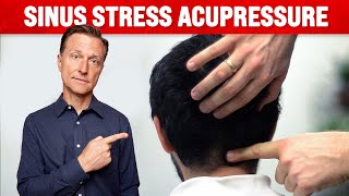 How to Get Rid of Sinus Congestion – Acupressure for Sinus – Dr Berg [upl. by Anelej790]