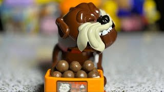 Mad Dog beware dont get his favorite Chocolate Balls ASMR 😁angry dog funnytoy asmr toys [upl. by Anilah80]