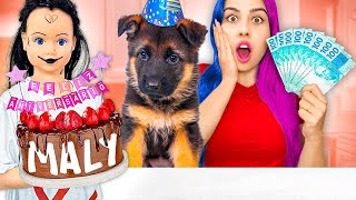 FIZEMOS o ANIVERSÁRIO dos CACHORRO MALY apareceu [upl. by Aicekal528]