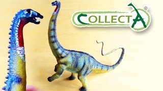 CollectA® Diplodocus Review [upl. by Sigismondo]