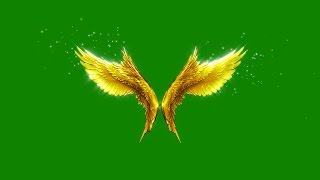 Green Screen Angels Flapping Gold Wings Particles  Footage PixelBoom [upl. by Annaear]