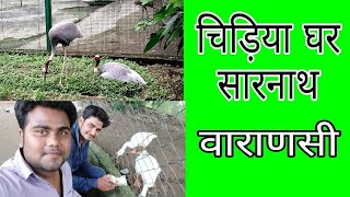 चिड़िया घर सारनाथ वाराणसी  deer park sarnath  Sarnath Deer Park  DEER PARK [upl. by Elmore957]