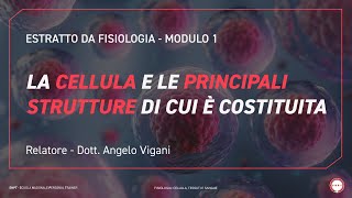 Struttura della cellula muscolare  Corso Personal Trainer SNPT con dott Angelo Vigani [upl. by Gmur]