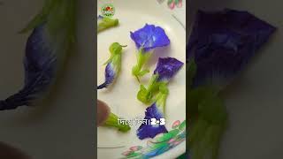 অপরাজিতা ফুল থেকে চা তৈরি করার সহজ উপায়  Butterfly Pea Tea Bangla Recipe shorts ButterflyPeaTea [upl. by Odie64]