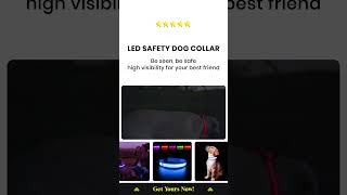 LED Safety Dog Collar [upl. by Innaig44]