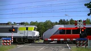 Diverse treinen bij de Zandsteenweg in Oldenzaal [upl. by Bail]